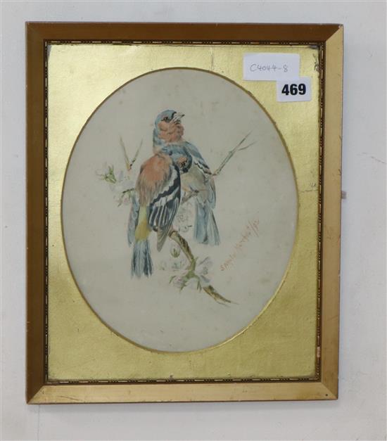 S. Neale, watercolour, Study of Goldfinches, signed and dated (18)92, 26 x 21cm